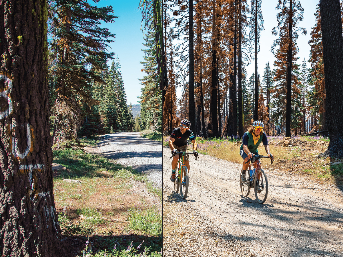gravel cycling plumas county after dixie fire